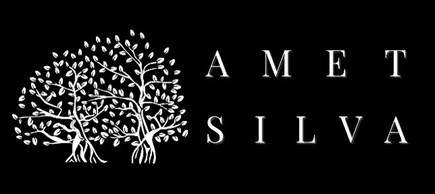 AmetSilva S.R.L.